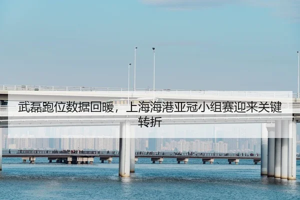 wu-lei-pao-wei-shu-ju-hui-nuan-shang-hai-hai-gang-ya-guan-xiao-zu-sai-ying-lai-guan-jian-zhuan-zhe-2-466.jpg