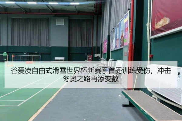 谷爱凌自由式滑雪世界杯新赛季首秀训练受伤，冲击冬奥之路再添变数